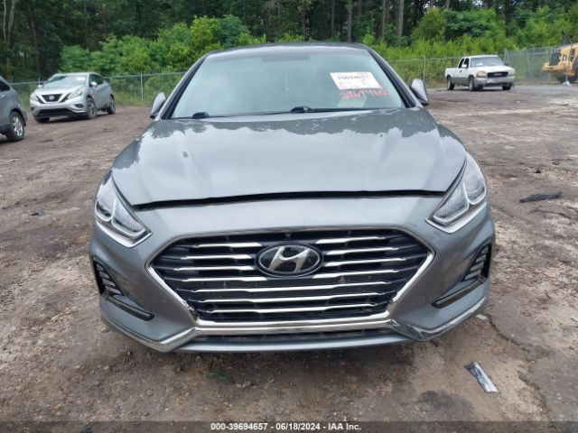 Photo 5 VIN: KMHE24L36JA082336 - HYUNDAI SONATA 