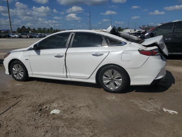 Photo 1 VIN: KMHE24L39KA094126 - HYUNDAI SONATA HYB 