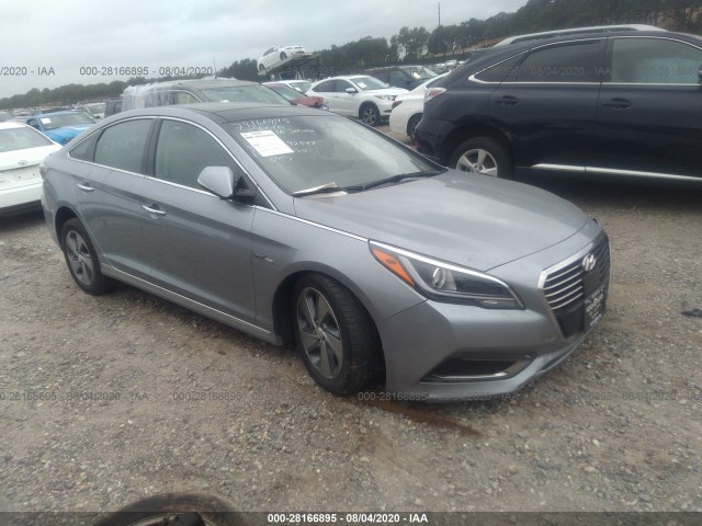 Photo 0 VIN: KMHE34L10GA017826 - HYUNDAI SONATA HYBRID 