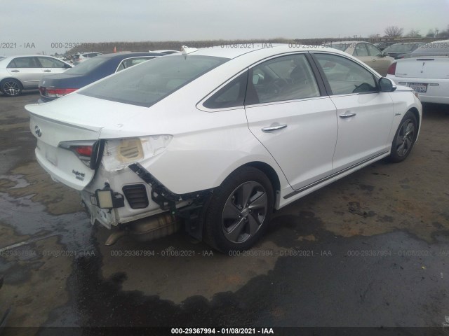 Photo 3 VIN: KMHE34L10GA024369 - HYUNDAI SONATA HYBRID 