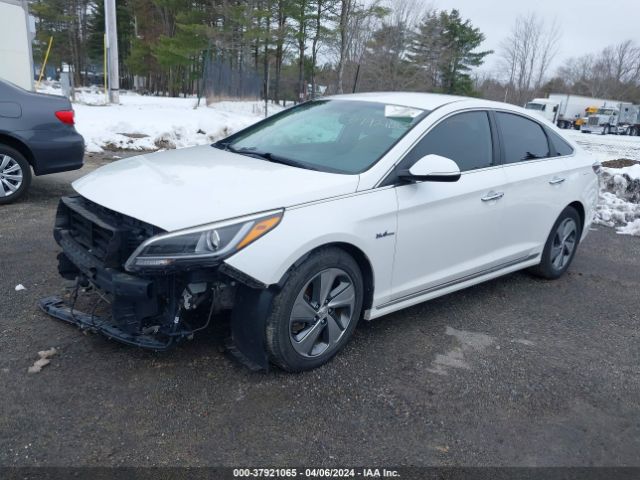 Photo 1 VIN: KMHE34L10HA051301 - HYUNDAI SONATA HYBRID 