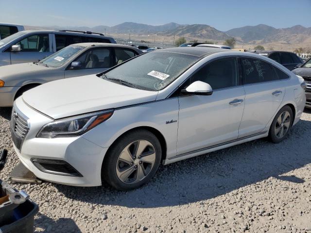 Photo 0 VIN: KMHE34L11GA028995 - HYUNDAI SONATA HYB 