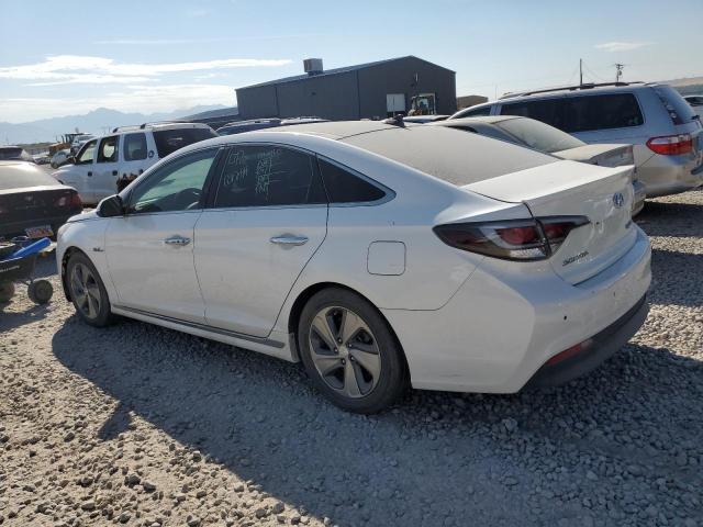 Photo 1 VIN: KMHE34L11GA028995 - HYUNDAI SONATA HYB 