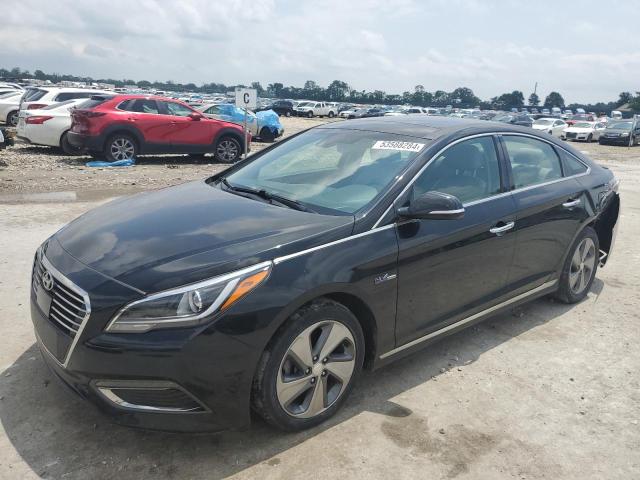 Photo 0 VIN: KMHE34L11GA031301 - HYUNDAI SONATA HYB 