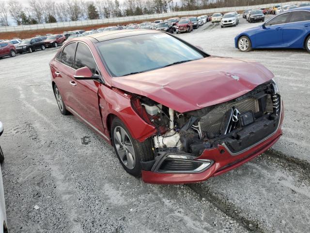 Photo 3 VIN: KMHE34L13GA008246 - HYUNDAI SONATA HYBRID 