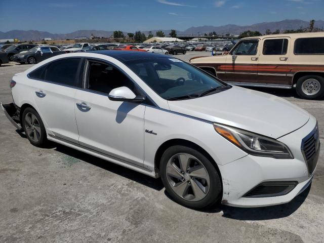 Photo 3 VIN: KMHE34L14GA009731 - HYUNDAI SONATA HYB 