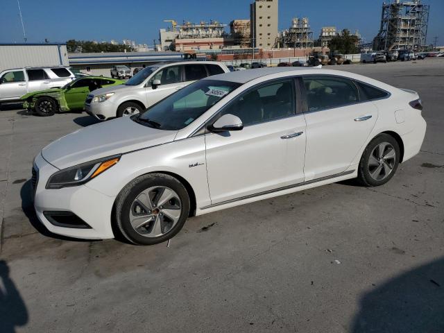 Photo 0 VIN: KMHE34L16GA012985 - HYUNDAI SONATA HYB 