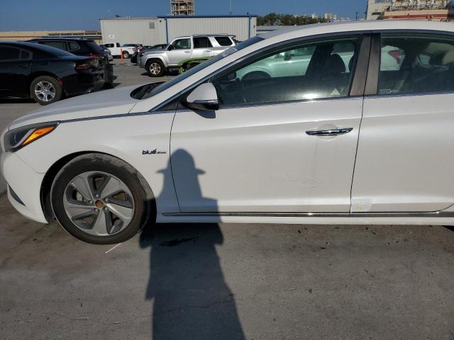 Photo 11 VIN: KMHE34L16GA012985 - HYUNDAI SONATA HYB 