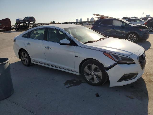 Photo 3 VIN: KMHE34L16GA012985 - HYUNDAI SONATA HYB 