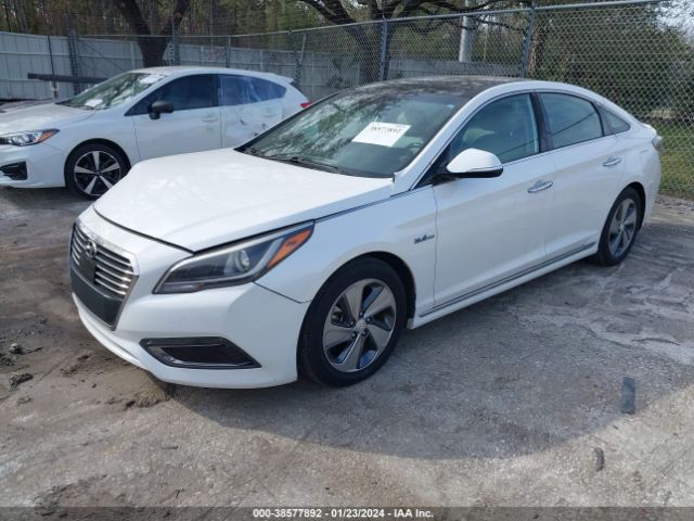 Photo 1 VIN: KMHE34L16GA016793 - HYUNDAI SONATA HYBRID 