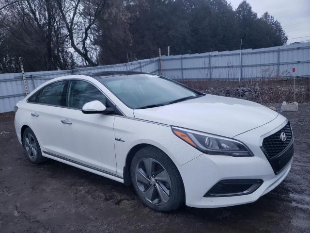 Photo 3 VIN: KMHE34L19GA008350 - HYUNDAI SONATA HYB 