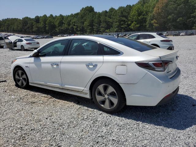 Photo 1 VIN: KMHE34L19GA032048 - HYUNDAI SONATA HYB 