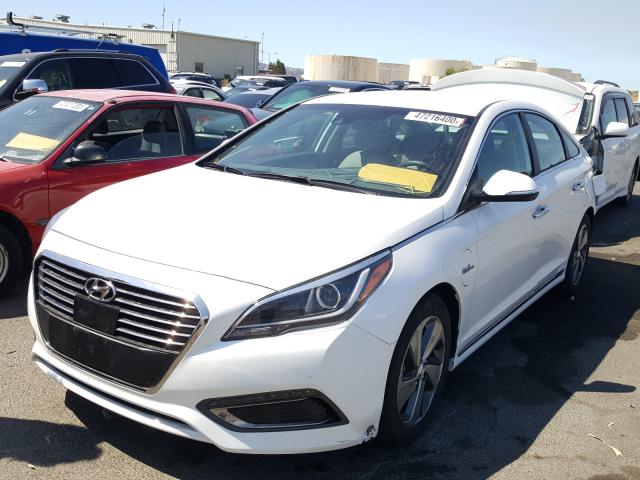 Photo 8 VIN: KMHE54L23GA031027 - HYUNDAI SONATA PLU 