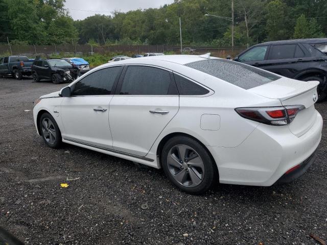 Photo 1 VIN: KMHE54L24HA043690 - HYUNDAI SONATA PLU 