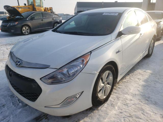 Photo 1 VIN: KMHEC4A43DA093047 - HYUNDAI SONATA 