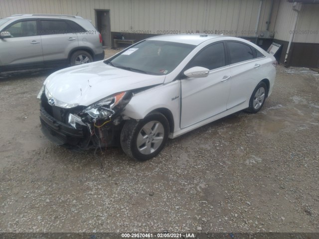 Photo 1 VIN: KMHEC4A45BA001224 - HYUNDAI SONATA 