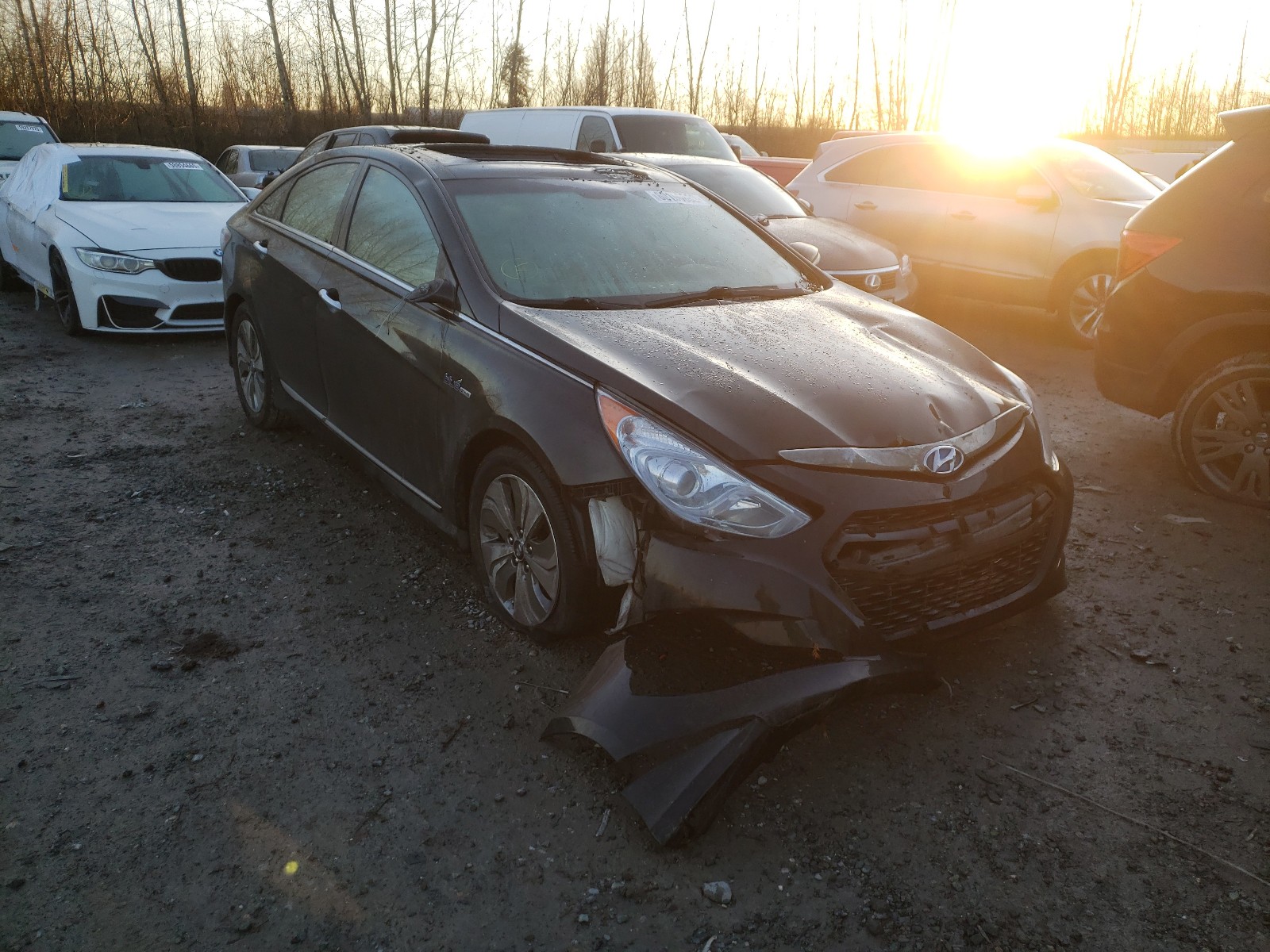 Photo 0 VIN: KMHEC4A45FA135558 - HYUNDAI SONATA HYB 