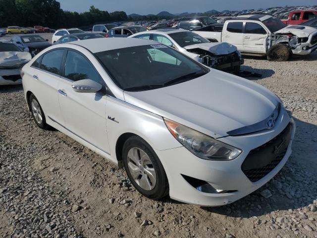 Photo 3 VIN: KMHEC4A46DA067512 - HYUNDAI SONATA 