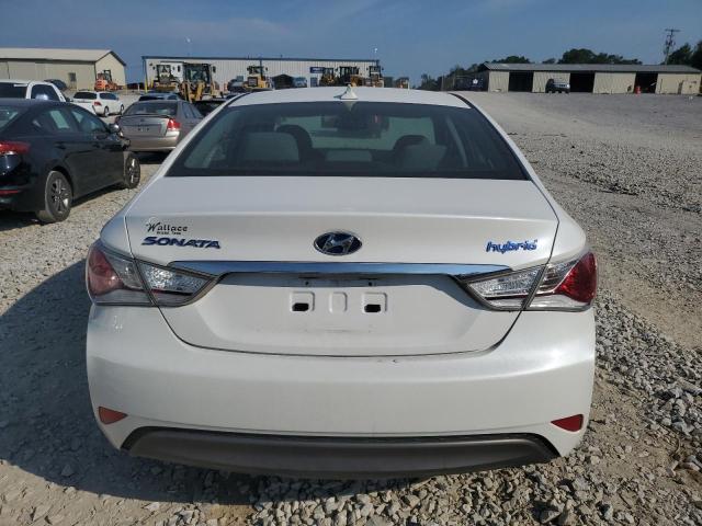 Photo 5 VIN: KMHEC4A46DA067512 - HYUNDAI SONATA 