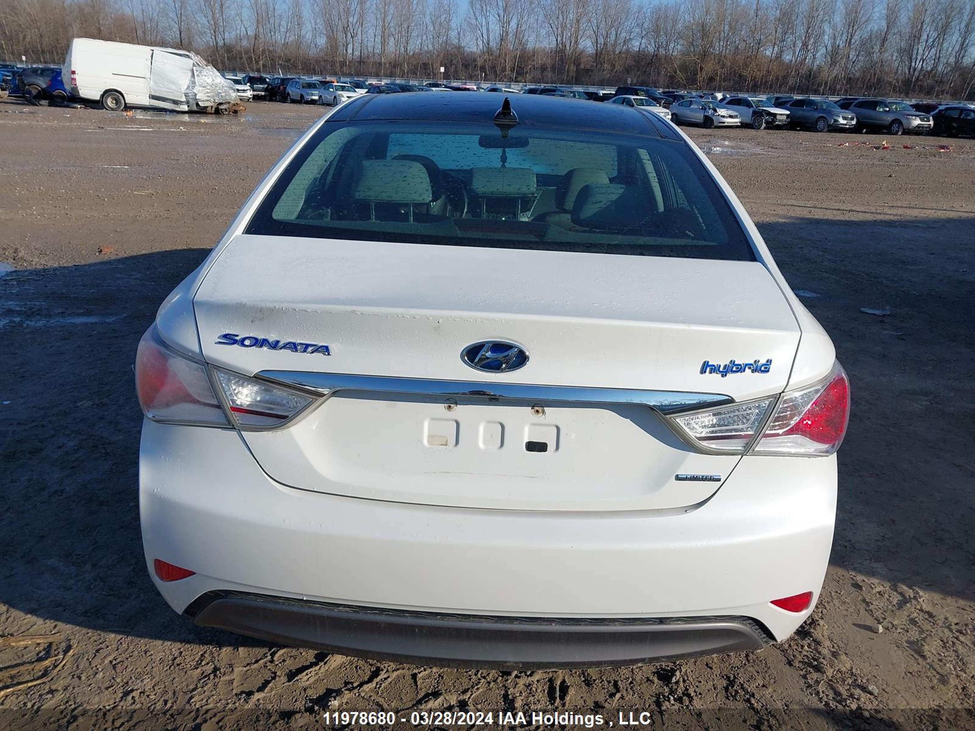 Photo 16 VIN: KMHEC4A47BA015156 - HYUNDAI SONATA 