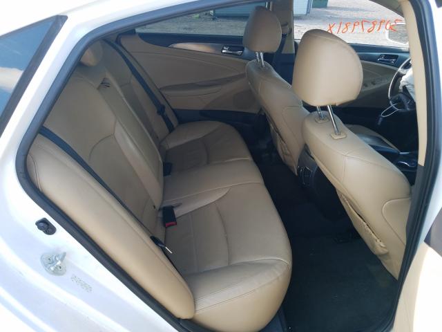 Photo 5 VIN: KMHEC4A47DA098641 - HYUNDAI SONATA 