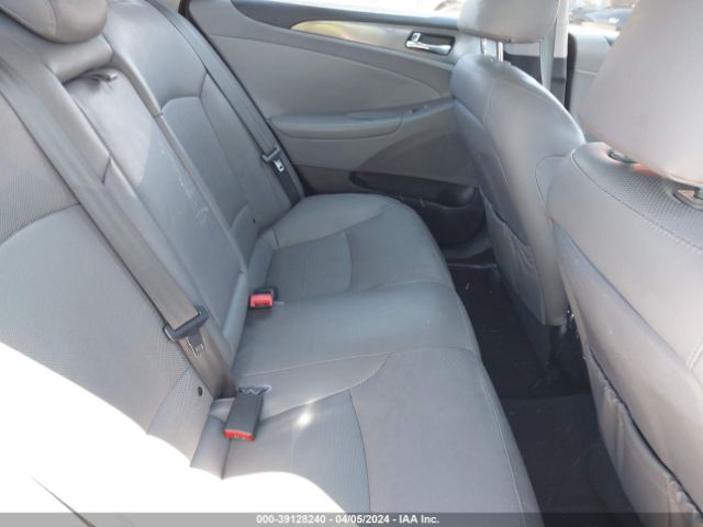 Photo 7 VIN: KMHEC4A48DA066359 - HYUNDAI SONATA 