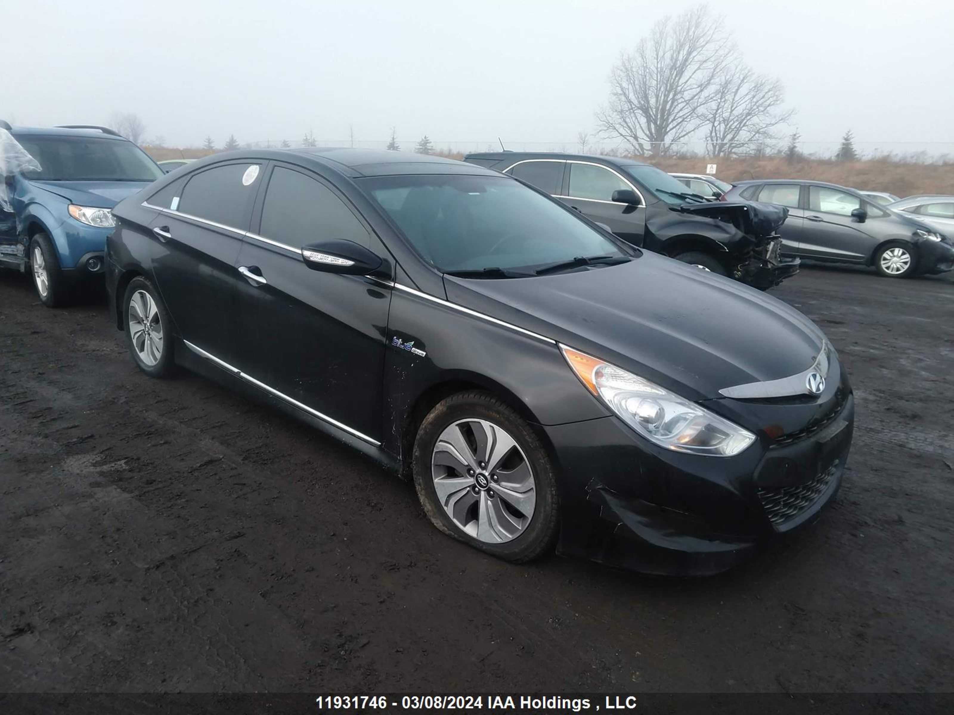 Photo 0 VIN: KMHEC4A4XFA127701 - HYUNDAI SONATA 