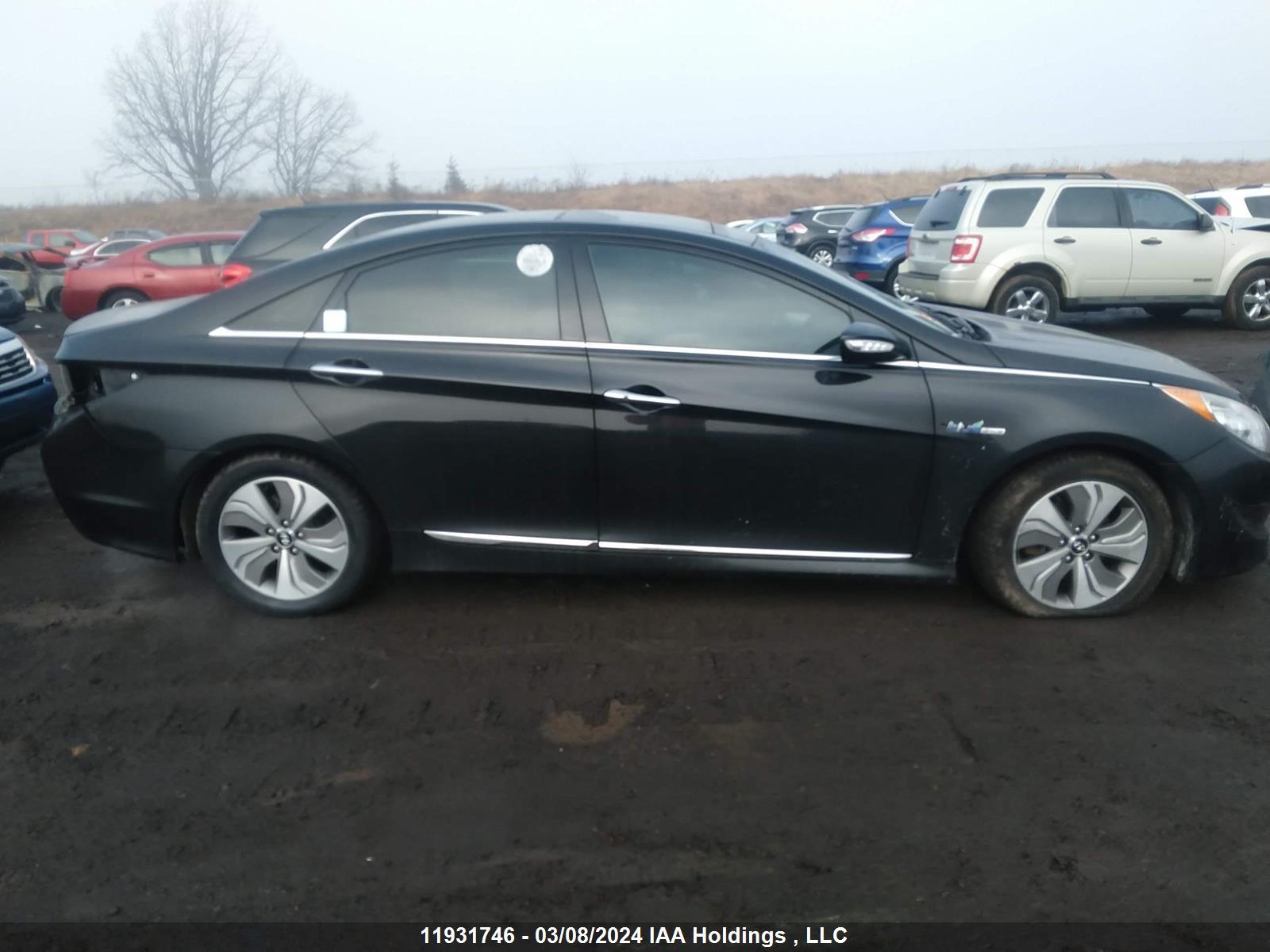 Photo 13 VIN: KMHEC4A4XFA127701 - HYUNDAI SONATA 