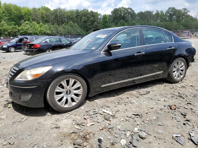 Photo 0 VIN: KMHGC46E49U033407 - HYUNDAI GENESIS 