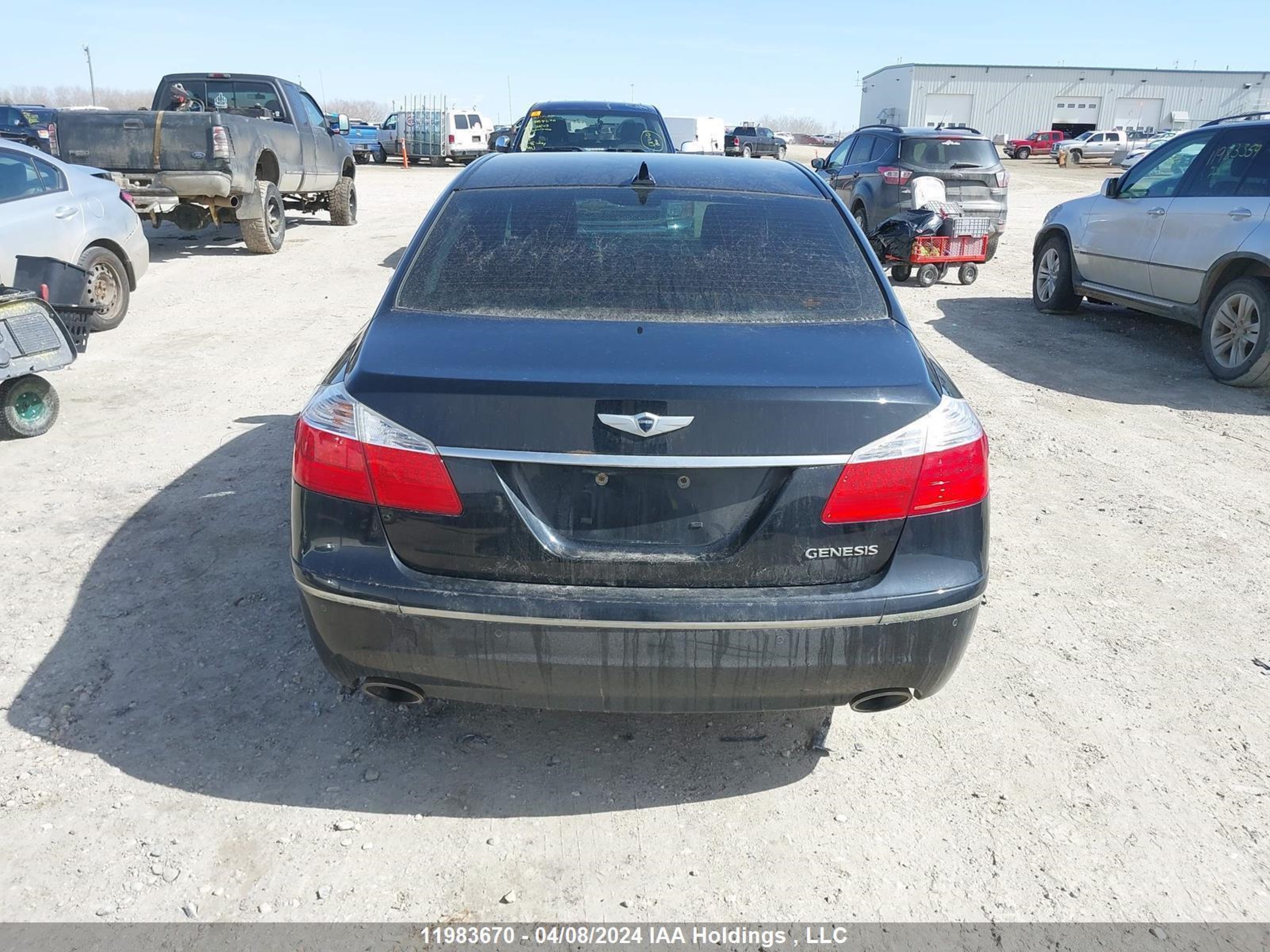 Photo 15 VIN: KMHGC46E49U056931 - HYUNDAI GENESIS 