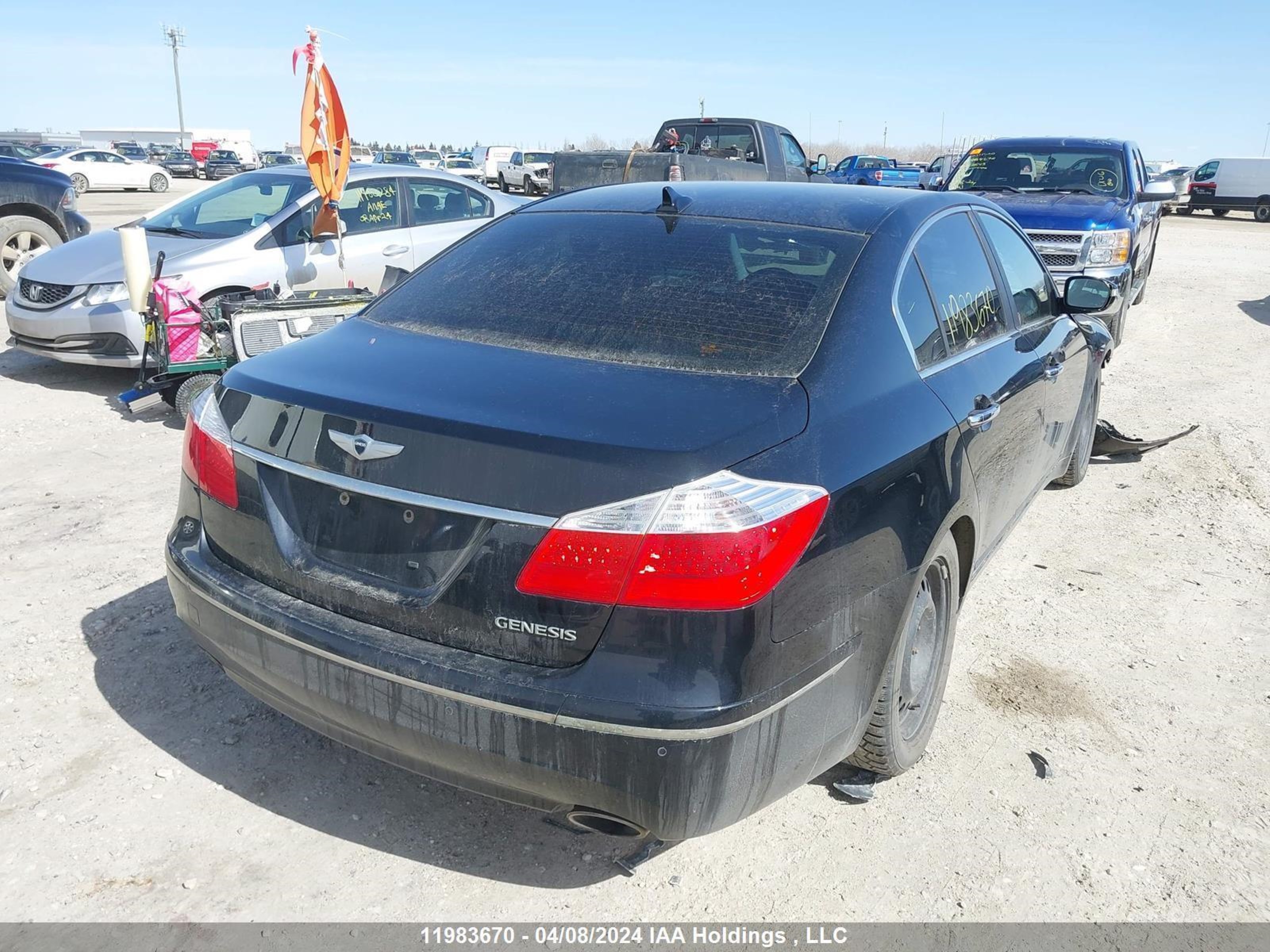 Photo 3 VIN: KMHGC46E49U056931 - HYUNDAI GENESIS 