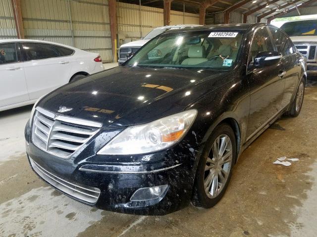 Photo 1 VIN: KMHGC46F69U040321 - HYUNDAI GENESIS 4. 