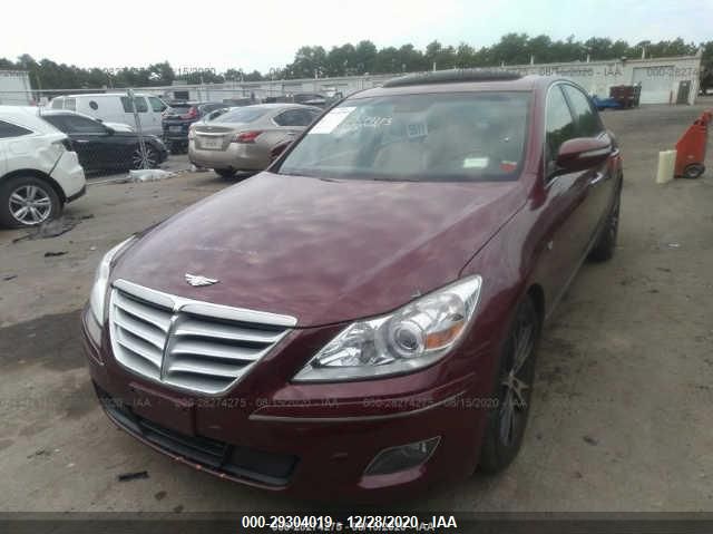 Photo 5 VIN: KMHGC4DF0BU141203 - HYUNDAI GENESIS 