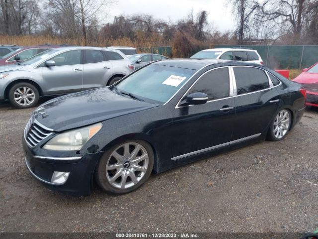 Photo 1 VIN: KMHGH4JF3BU029419 - HYUNDAI EQUUS 