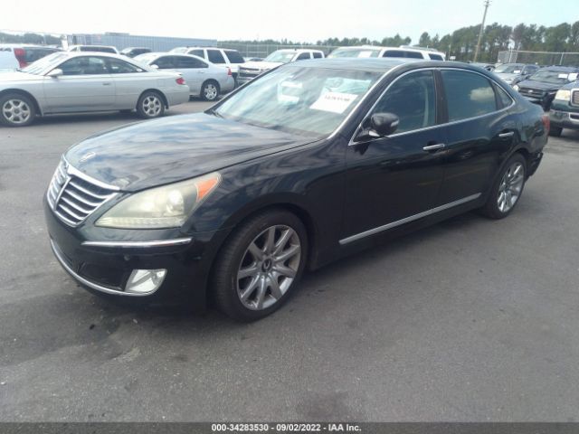 Photo 1 VIN: KMHGH4JF4BU029591 - HYUNDAI EQUUS 