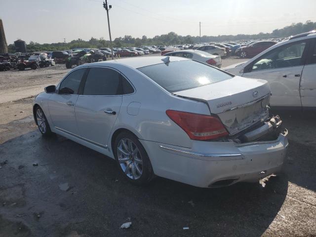 Photo 1 VIN: KMHGH4JF6BU033500 - HYUNDAI EQUUS 