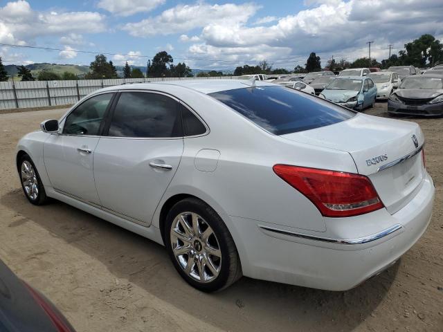 Photo 1 VIN: KMHGH4JF9BU036455 - HYUNDAI EQUUS 