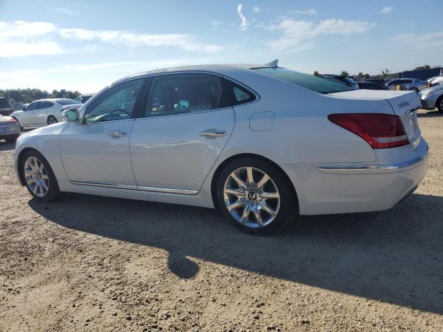 Photo 1 VIN: KMHGH4JH0DU072491 - HYUNDAI EQUUS SIGN 