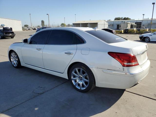 Photo 1 VIN: KMHGH4JH1DU059345 - HYUNDAI EQUUS 