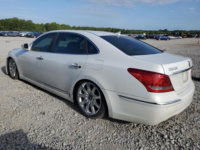 Photo 1 VIN: KMHGH4JH2DU064635 - HYUNDAI EQUUS 