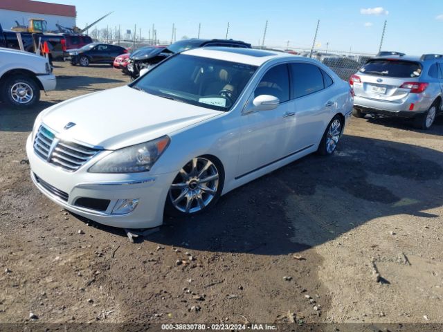 Photo 1 VIN: KMHGH4JH2DU067731 - HYUNDAI EQUUS 