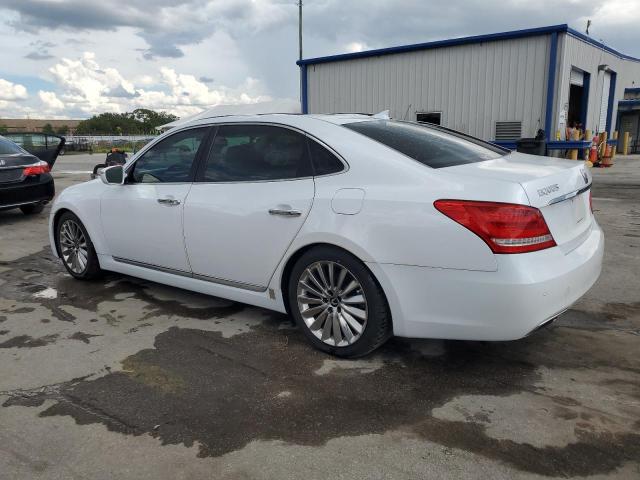 Photo 1 VIN: KMHGH4JH2EU086894 - HYUNDAI EQUUS 