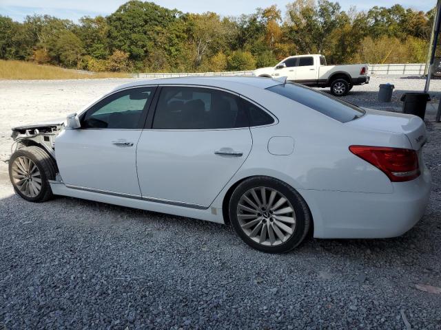 Photo 1 VIN: KMHGH4JH2FU100536 - HYUNDAI EQUUS 