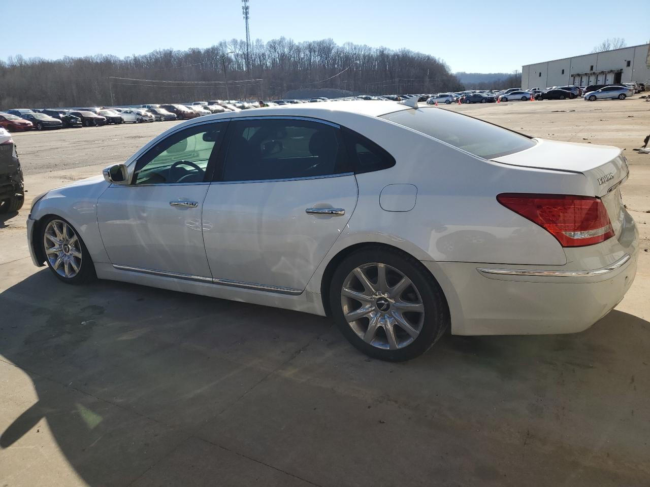 Photo 1 VIN: KMHGH4JH3CU056090 - HYUNDAI EQUUS 