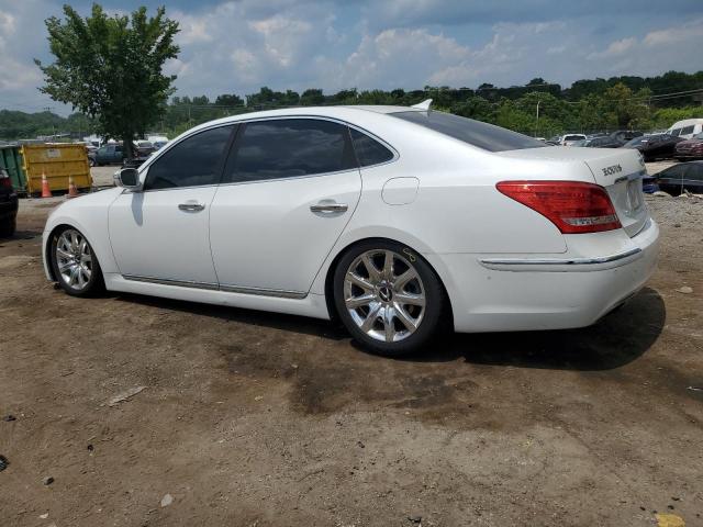 Photo 1 VIN: KMHGH4JH6DU062581 - HYUNDAI EQUUS SIGN 