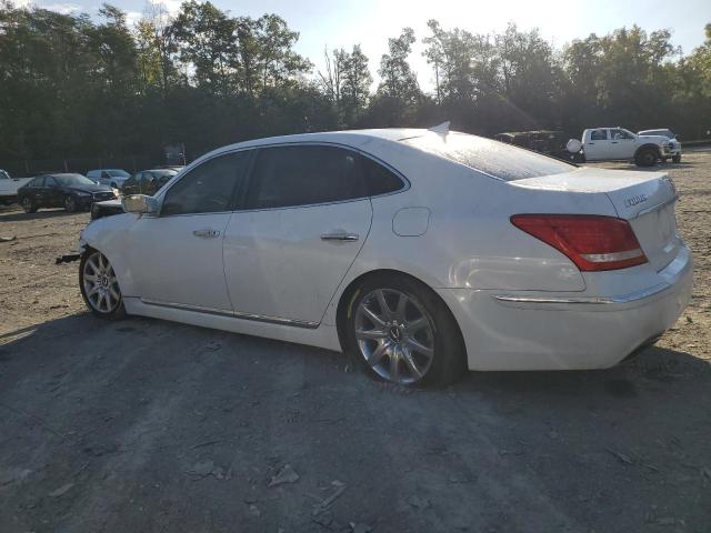 Photo 1 VIN: KMHGH4JH8CU053024 - HYUNDAI EQUUS 