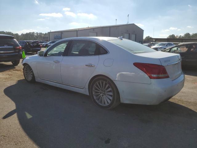 Photo 1 VIN: KMHGH4JHXGU101659 - HYUNDAI EQUUS 