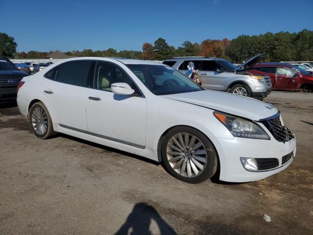 Photo 3 VIN: KMHGH4JHXGU101659 - HYUNDAI EQUUS 