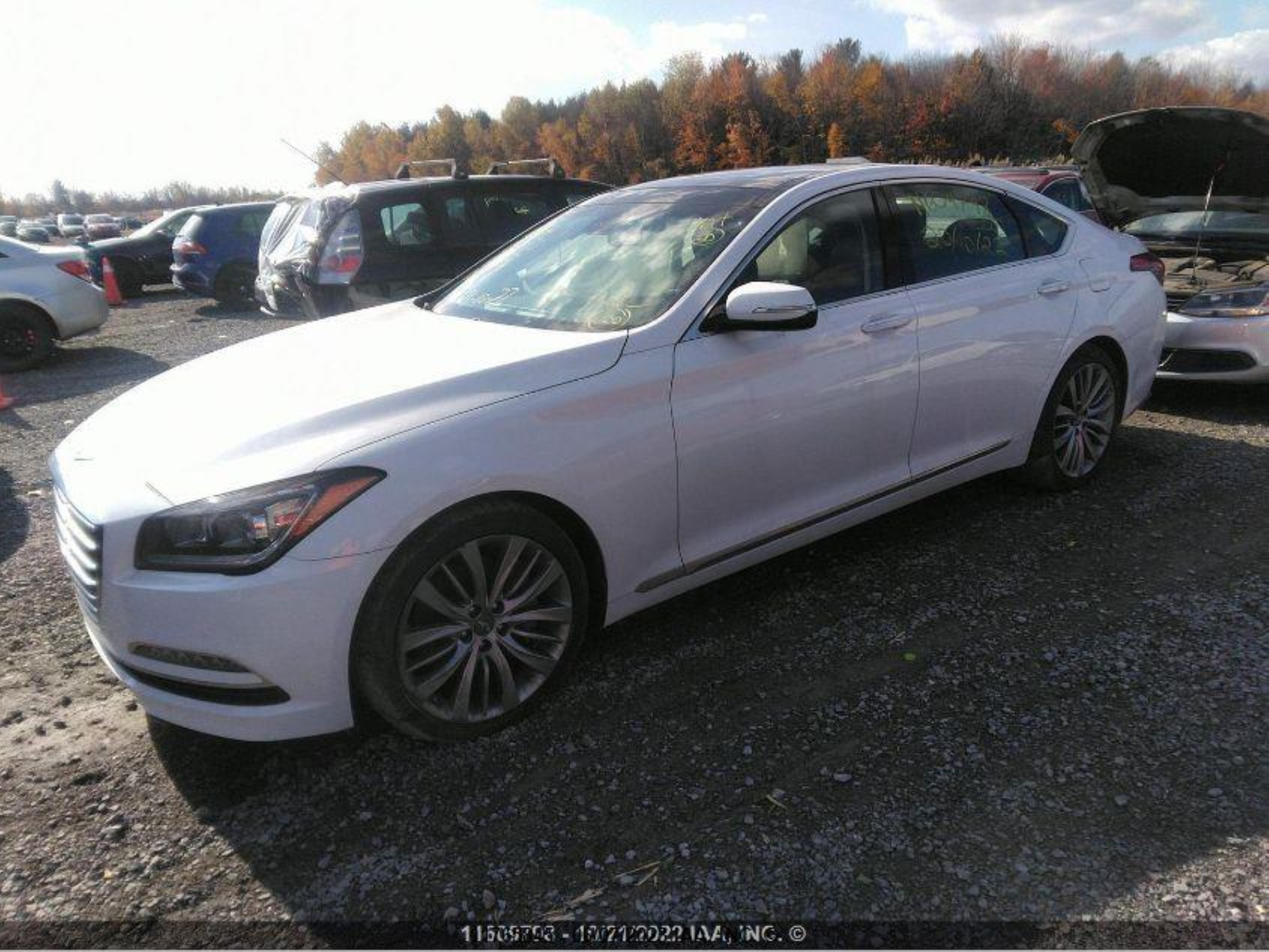 Photo 1 VIN: KMHGN4JE0GU115567 - HYUNDAI GENESIS 