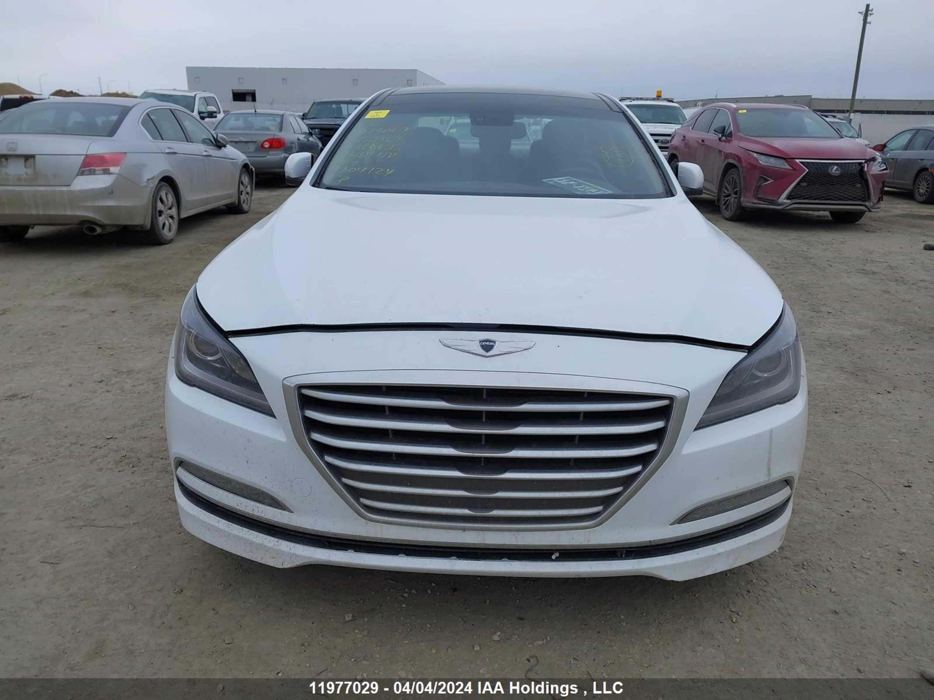 Photo 12 VIN: KMHGN4JE8GU150969 - HYUNDAI GENESIS 